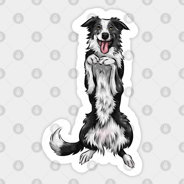 Border Collie Dog Sticker by Shirin Illustration